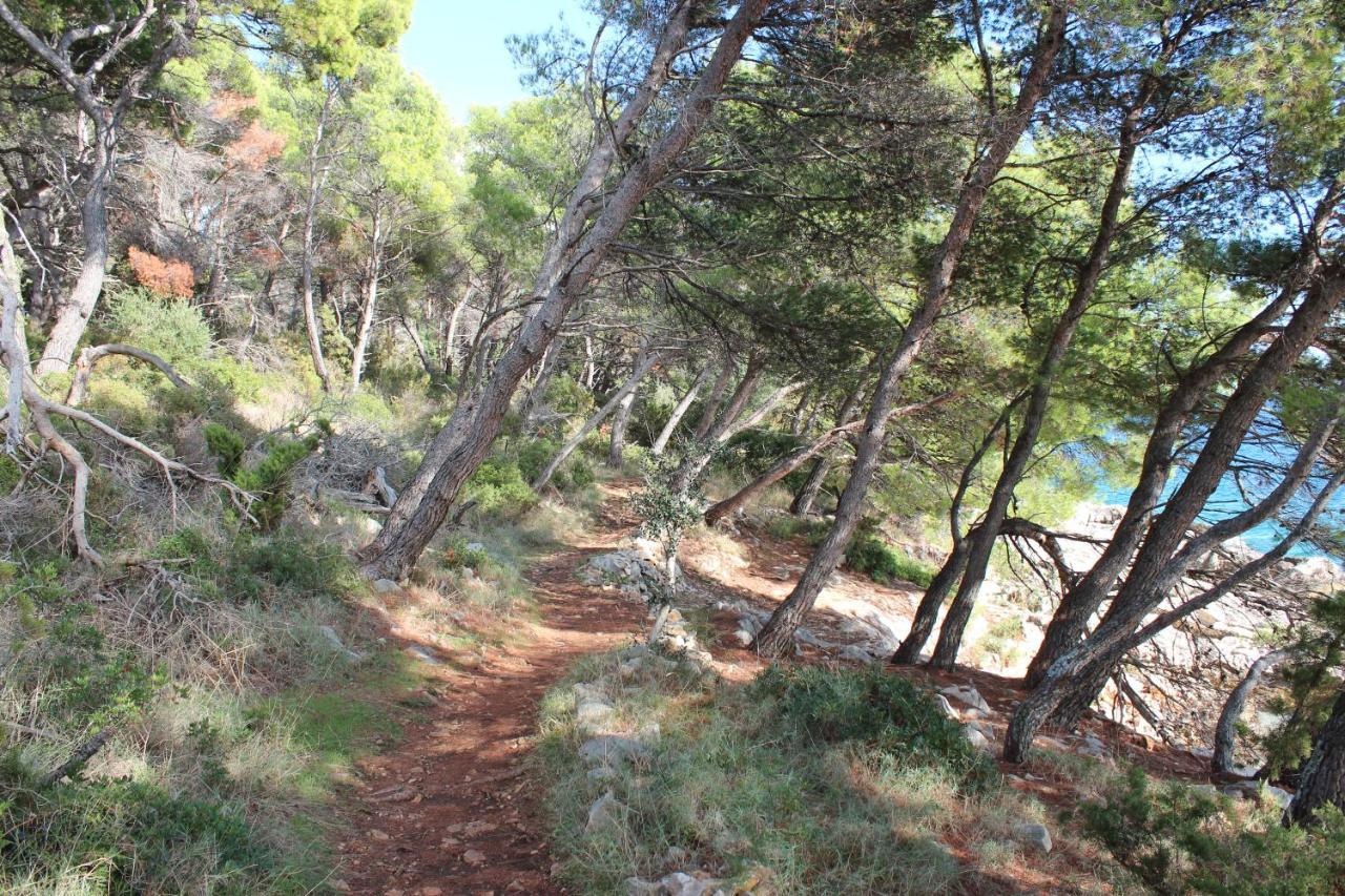 Apartament BayView Trogir Zewnętrze zdjęcie